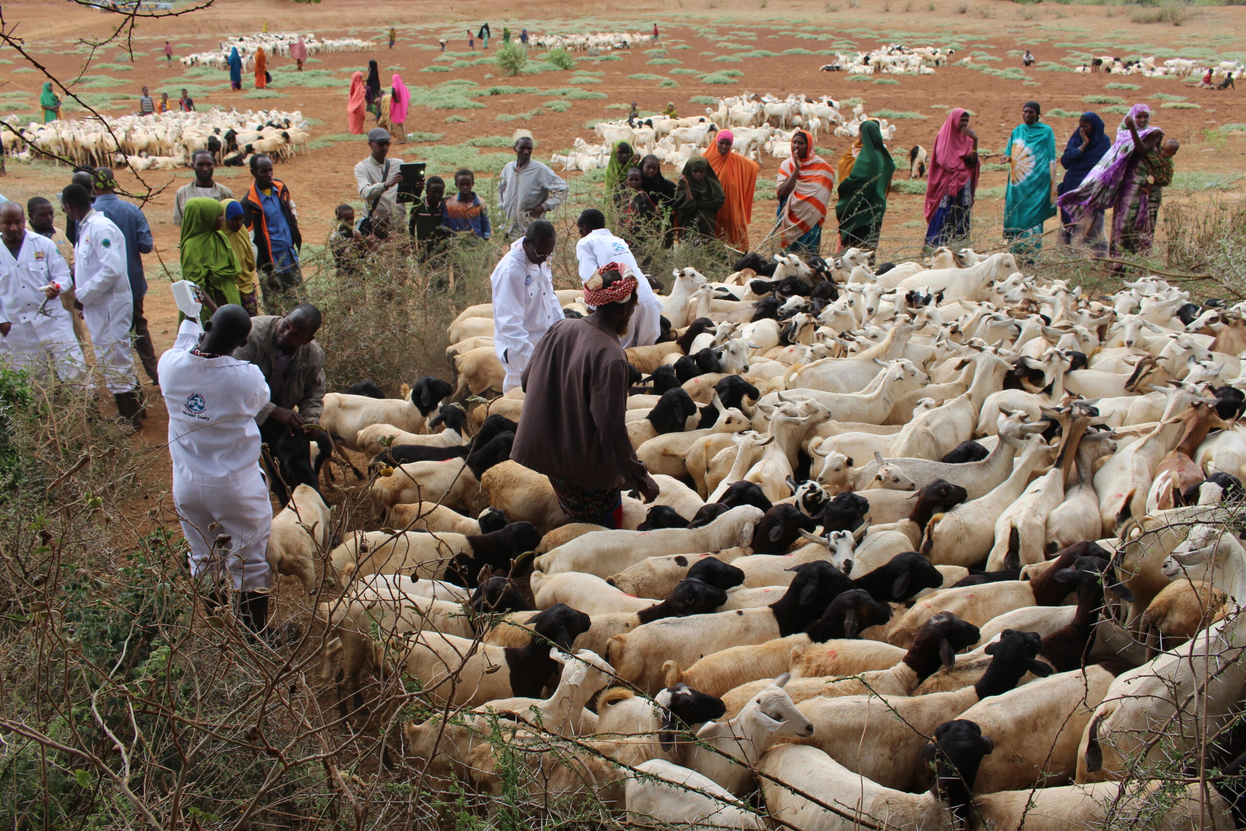Cross Boarder Vaccination