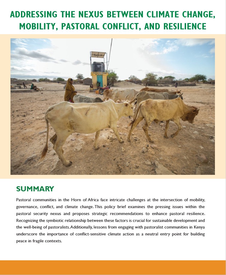 Addressing the Nexus