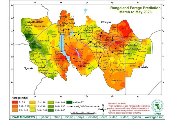 MAM 2026-3 MAM 2026-3