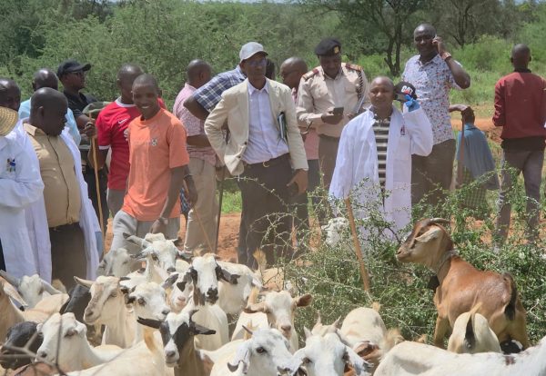 Webstory pic 1 Webstory pic 1