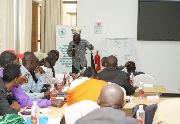 Webstory pic Webstory pic