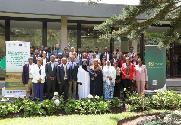 Webstory pic Webstory pic